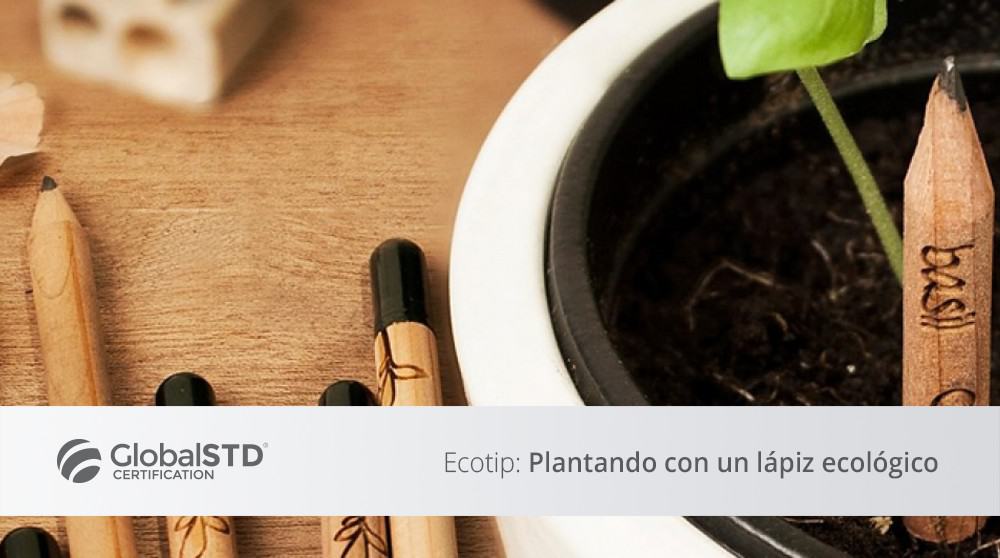 curso