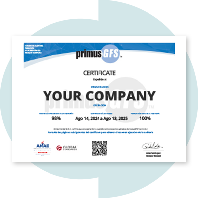 imagen global standards