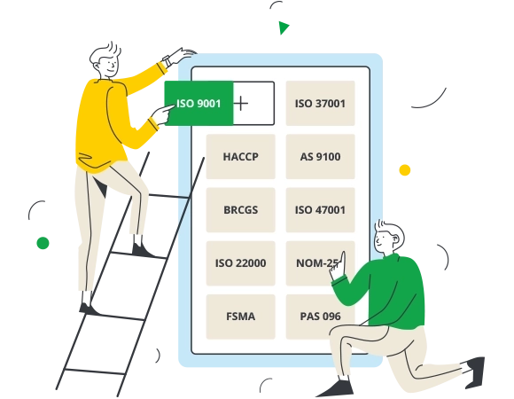 imagen global standards