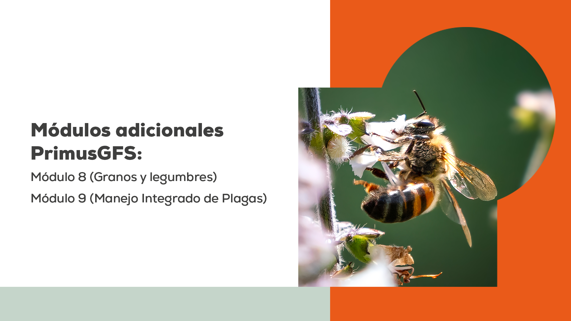 blog global std