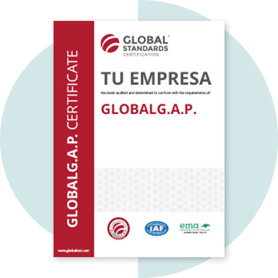 imagen global standards