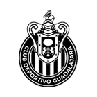 logo cliente global std