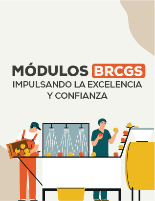 ebook