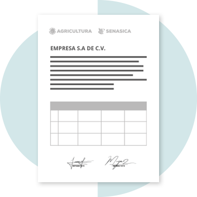imagen global standards